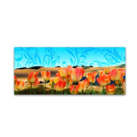 Tina Lavoie 'Painted Sky Panorama' Canvas Art,10x24